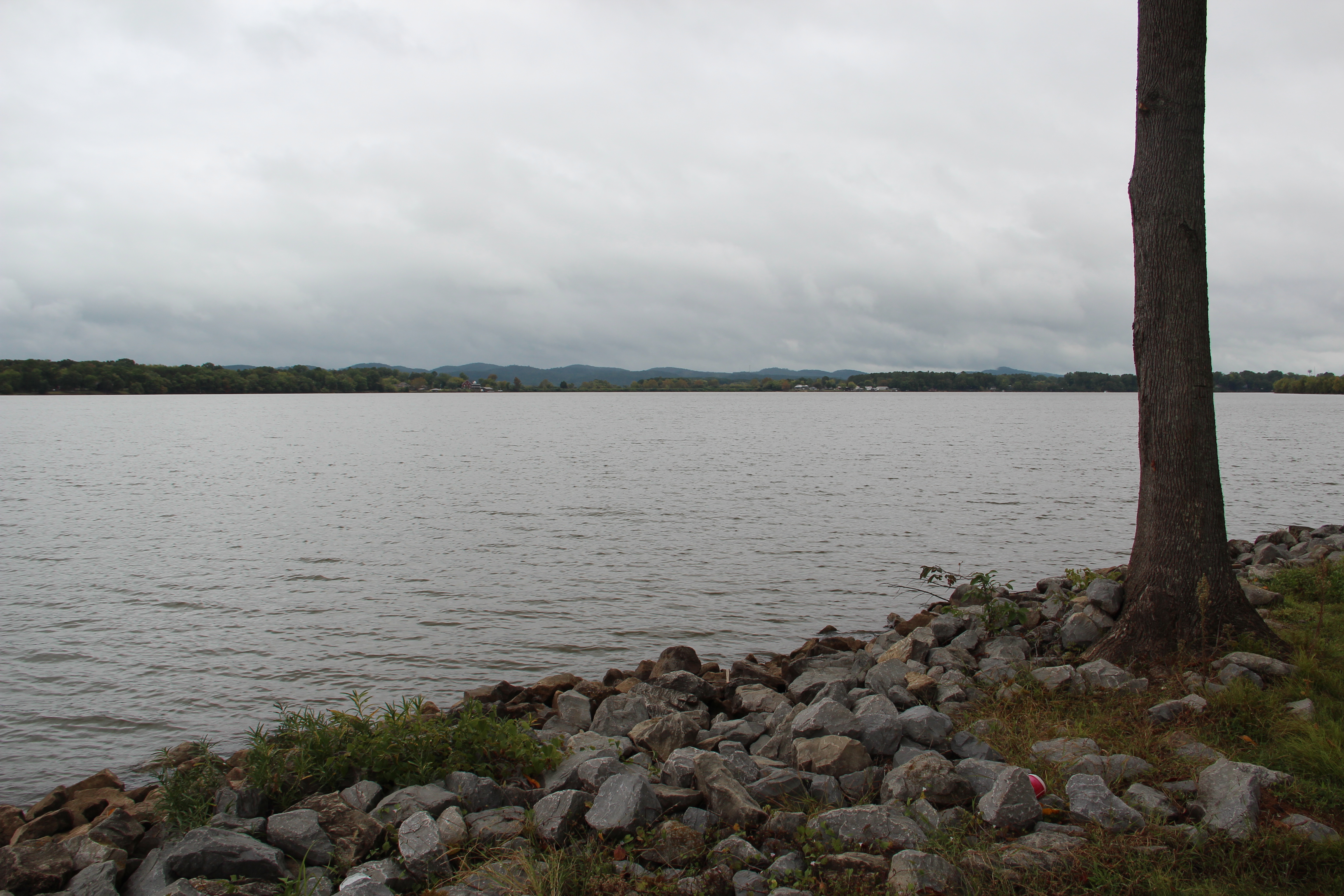 Weiss Lake shoreline and open water in Alabama